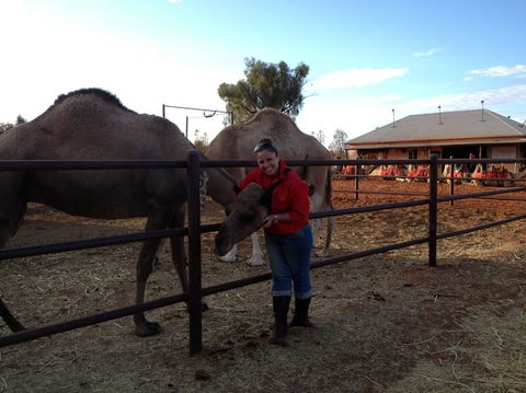 Uluru Small-Group Tour By Camel At Sunrise Or Sunset - SA Accommodation 21