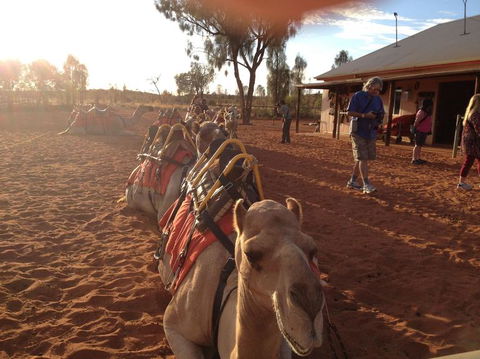Uluru Small-Group Tour By Camel At Sunrise Or Sunset - SA Accommodation 22