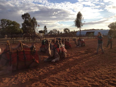 Uluru Small-Group Tour By Camel At Sunrise Or Sunset - SA Accommodation 23