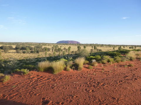 Uluru Small-Group Tour By Camel At Sunrise Or Sunset - SA Accommodation 9