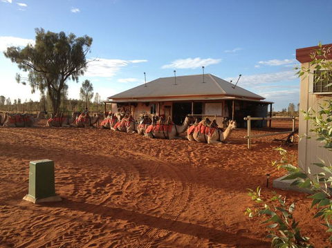 Uluru Small-Group Tour By Camel At Sunrise Or Sunset - SA Accommodation 19
