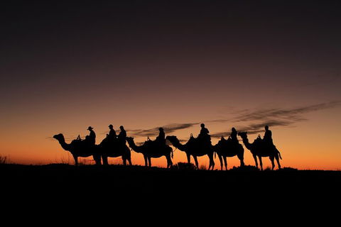 Uluru Small-Group Tour By Camel At Sunrise Or Sunset - SA Accommodation 27