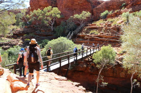 Kings Canyon Day Trip From Ayers Rock - SA Accommodation 19