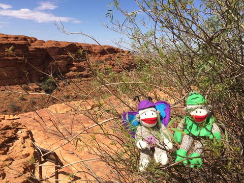 Kings Canyon Day Trip From Ayers Rock - SA Accommodation 23