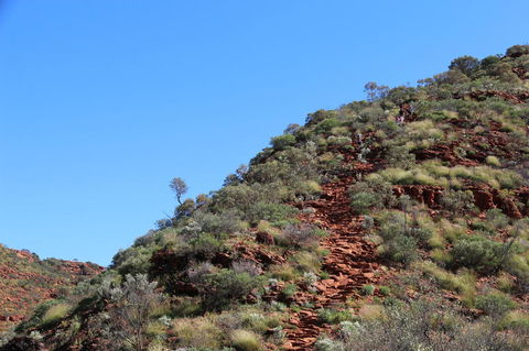Kings Canyon Day Trip From Ayers Rock - SA Accommodation 21