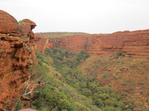 Kings Canyon Day Trip From Ayers Rock - SA Accommodation 13