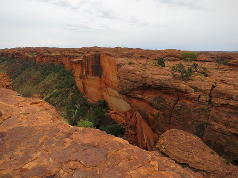 Kings Canyon Day Trip From Ayers Rock - SA Accommodation 10