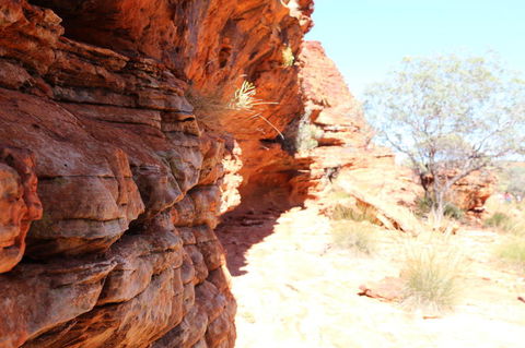 Kings Canyon Day Trip From Ayers Rock - SA Accommodation 20