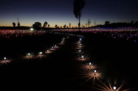 Uluru Field Of Light Sunrise Tour - SA Accommodation 2