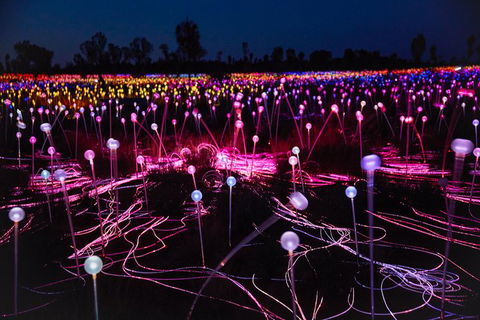 Uluru Field Of Light Sunrise Tour - SA Accommodation 1
