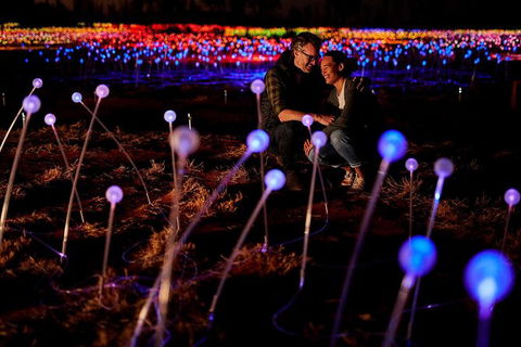 Uluru Field Of Light Sunrise Tour - SA Accommodation 6