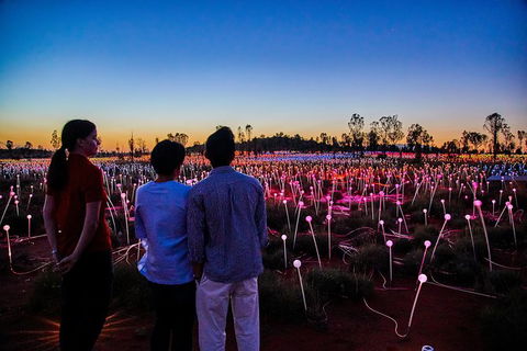 Uluru Field Of Light Sunrise Tour - SA Accommodation 5