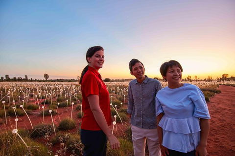 Uluru Field Of Light Sunrise Tour - SA Accommodation 11