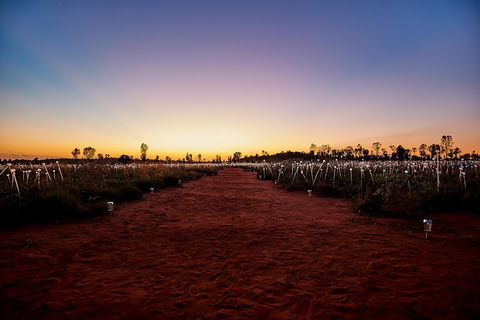 Uluru Field Of Light Sunrise Tour - SA Accommodation 14