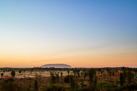 Uluru Field Of Light Sunrise Tour - SA Accommodation 12