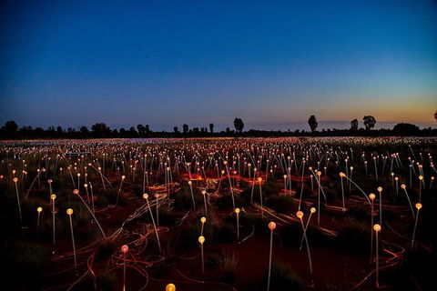 Uluru Field Of Light Sunrise Tour - SA Accommodation 7