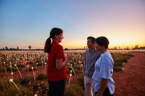 Uluru Field Of Light Sunrise Tour - SA Accommodation 9