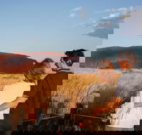 Uluru Ayers Rock Sunset with Outback Barbecue Dinner and Star Tour - SA Accommodation