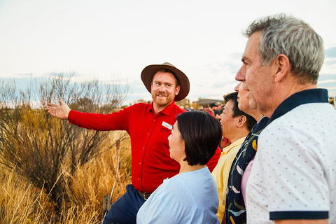 Uluru (Ayers Rock) Sunset With Outback Barbecue Dinner And Star Tour - SA Accommodation 22