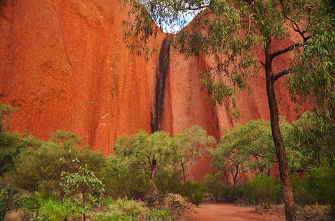 Uluru Sunrise And Guided Base Walk - SA Accommodation 14