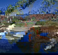 Palm Valley 4WD Tour - SA Accommodation