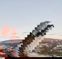 Alice Springs Highlights Half-Day Tour - SA Accommodation