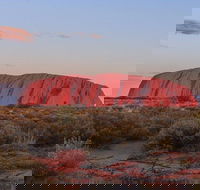 3-Day Uluru Camping Tour from Alice Springs Including Kata Tjuta and Kings Canyon - SA Accommodation