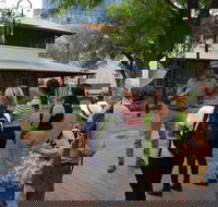 Alice Springs Walking Tours - SA Accommodation