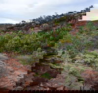 Palm Valley and Hermannsburg 1 Day 4WD Tour - SA Accommodation