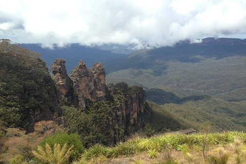All-Inclusive Blue Mountains Tour In A Luxury Mercedes Sprinter - SA Accommodation 11
