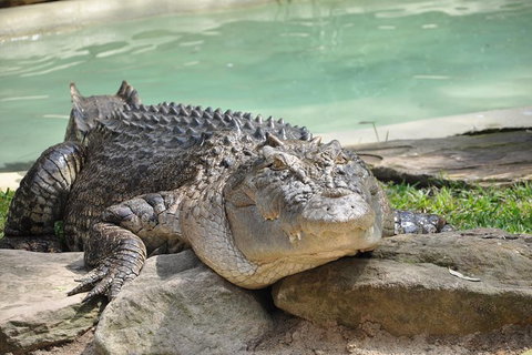 All-Inclusive Blue Mountains Tour In A Luxury Mercedes Sprinter - SA Accommodation 14