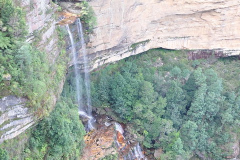 All-Inclusive Blue Mountains Tour In A Luxury Mercedes Sprinter - SA Accommodation 17