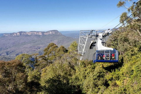 All-Inclusive Blue Mountains Tour In A Luxury Mercedes Sprinter - SA Accommodation 6
