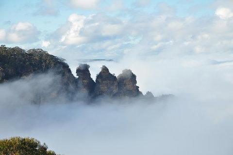 All-Inclusive Blue Mountains Tour In A Luxury Mercedes Sprinter - SA Accommodation 15