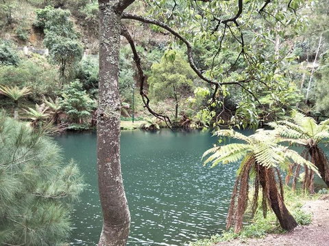 Jenolan Caves And Blue Mountains Tour From Sydney - SA Accommodation 2