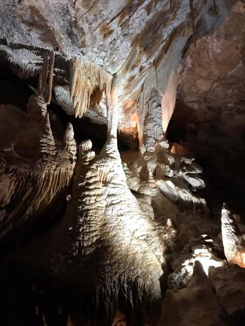 Jenolan Caves And Blue Mountains Tour From Sydney - SA Accommodation 14