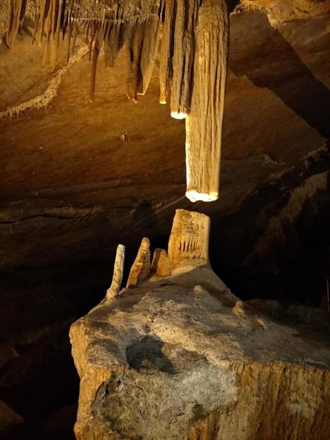 Jenolan Caves And Blue Mountains Tour From Sydney - SA Accommodation 8