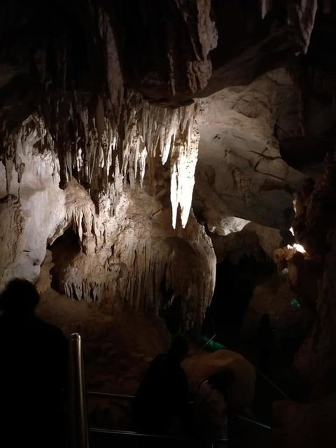 Jenolan Caves And Blue Mountains Tour From Sydney - SA Accommodation 10