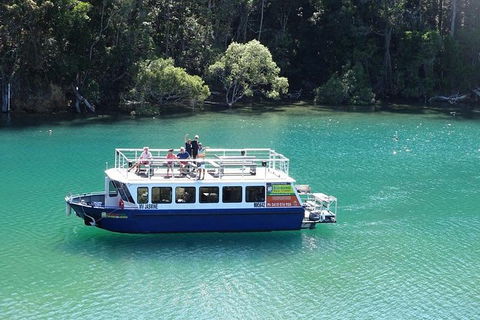 Brunswick Heads Rainforest Eco-Cruise - SA Accommodation 0