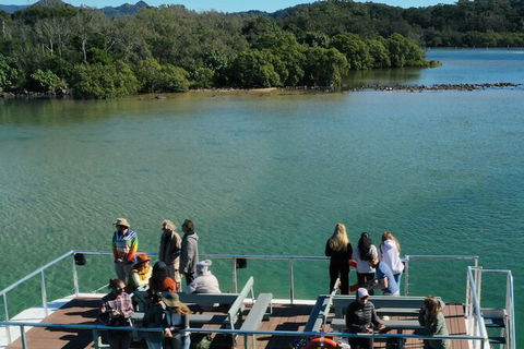 Brunswick Heads Rainforest Eco-Cruise - SA Accommodation 8