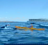Whale Watching by Sea Kayak in Batemans Bay - SA Accommodation