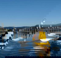 Batemans Bay Oyster Tasting Kayak Tour - SA Accommodation