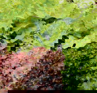 Apple Tree Creek - SA Accommodation