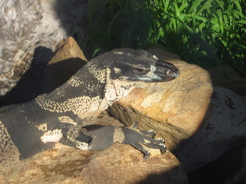 Armadale Reptile Centre - SA Accommodation 0