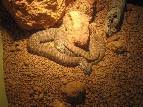 Armadale Reptile Centre - SA Accommodation 1