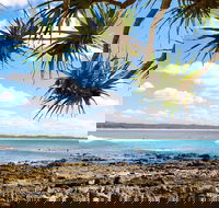 Arrawarra-Corindi Beach - SA Accommodation