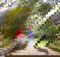 Arthurs Seat Circuit Walk - SA Accommodation