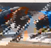 Big Bull Mural - SA Accommodation