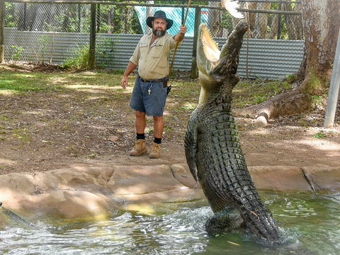 Billabong Sanctuary - SA Accommodation 1