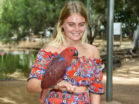 Billabong Sanctuary - SA Accommodation 2